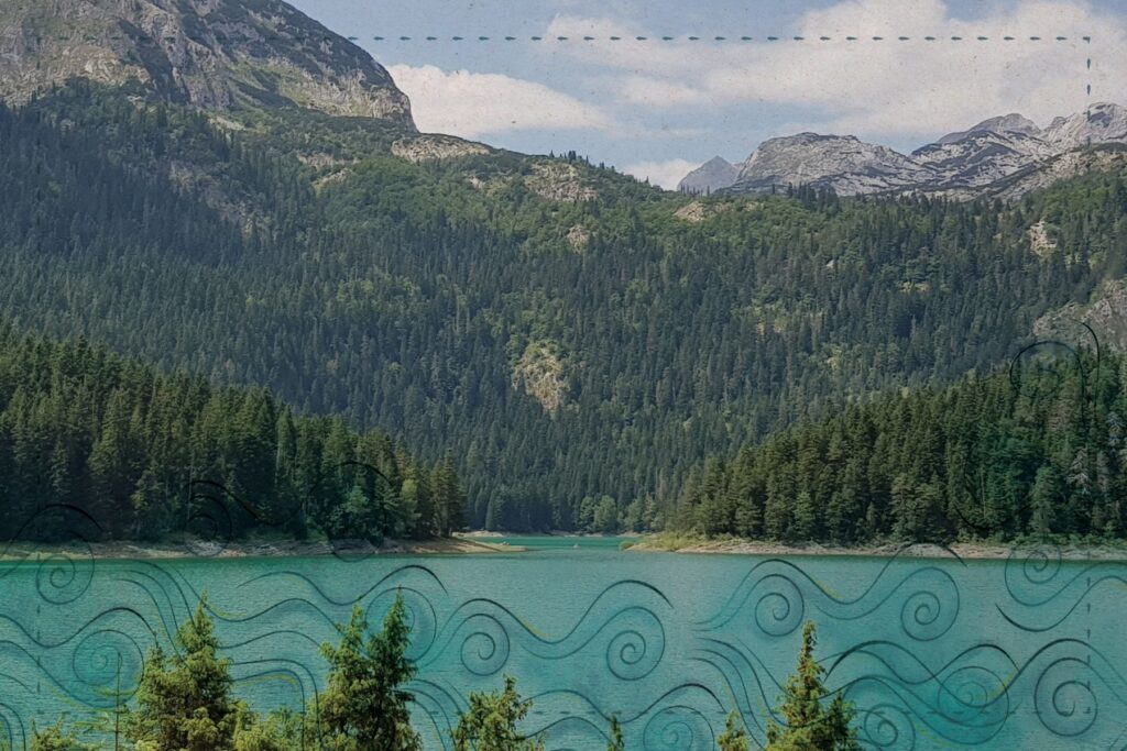 CG ekološka država