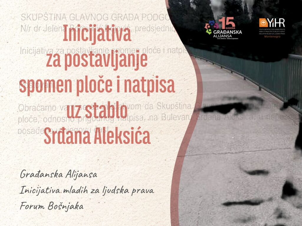 srdjan aleksić Inicijativa